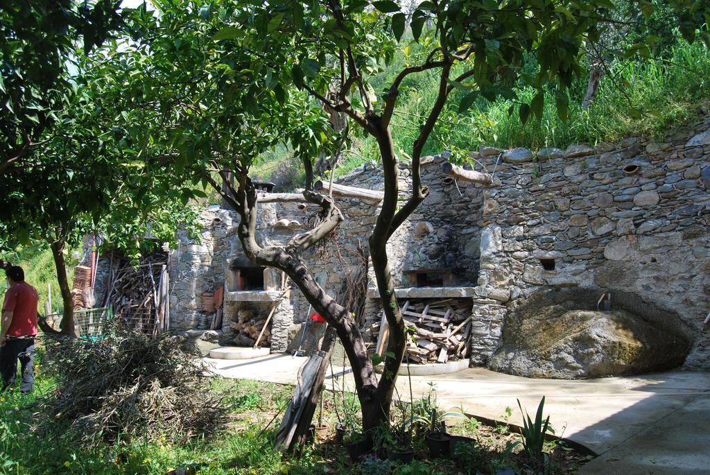 Al Melograno B&B Belmonte Calabro Room photo