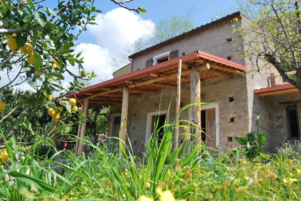 Al Melograno B&B Belmonte Calabro Exterior photo