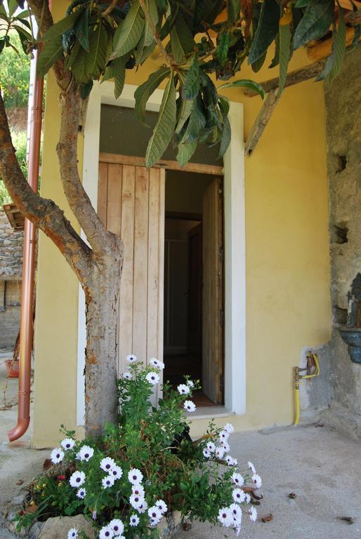 Al Melograno B&B Belmonte Calabro Exterior photo